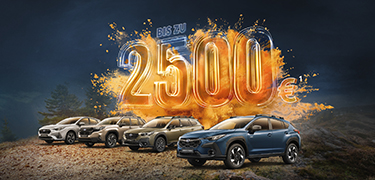 Nur für kurze Zeit:: Subaru Allrad-Modelle mit Action-Prämie<sup>1</sup>